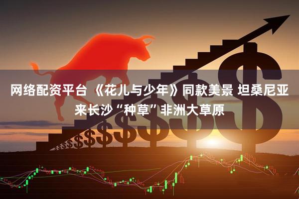 网络配资平台 《花儿与少年》同款美景 坦桑尼亚来长沙“种草”非洲大草原